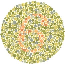 colorblind-test-image5.jpg